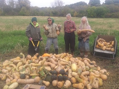 squash-harvest_10-16-23_3cs.jpg